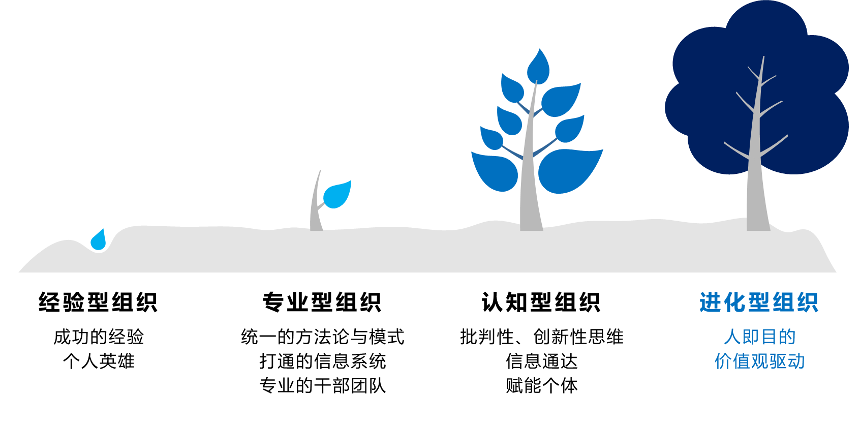 图片6.png 图片6.png