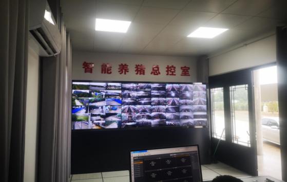 图片2.jpg 图片2.jpg